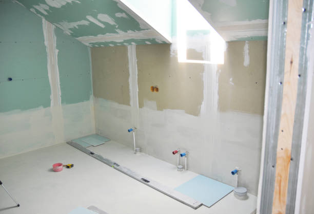 Best Drywall Removal and Disposal  in Bellevle, IL